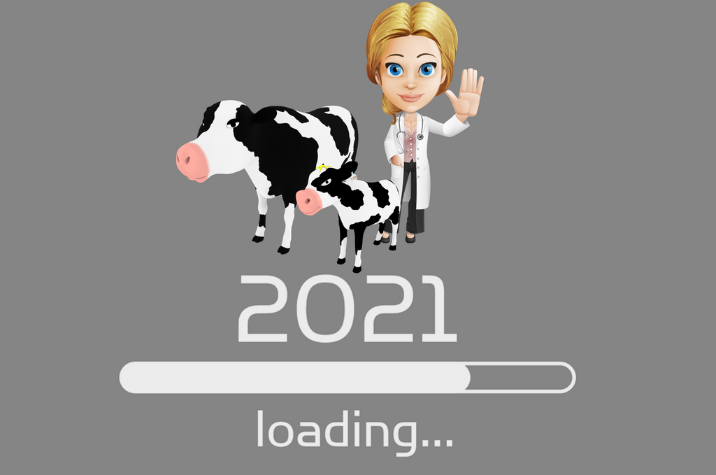 2020 Year End Wrap Up