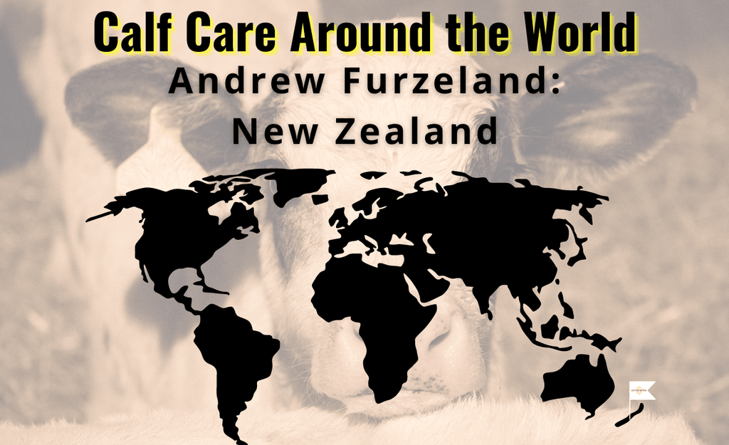 Calf Care Around the World: Andrew Furzeland - UK to New Zealand
