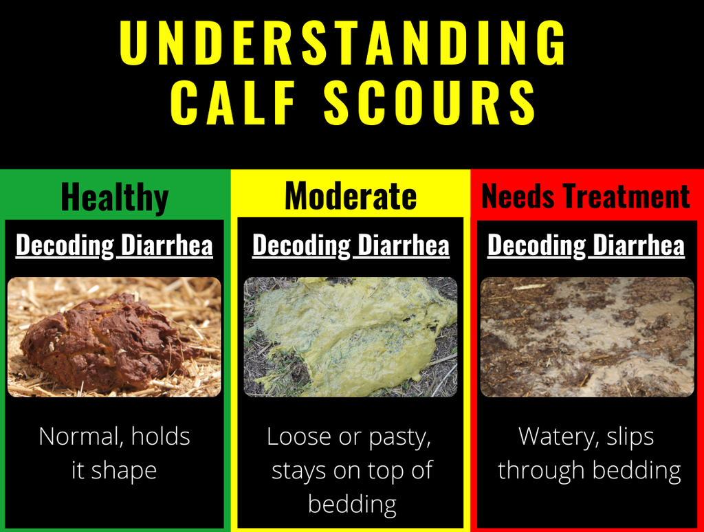 Calf Scours Color Chart