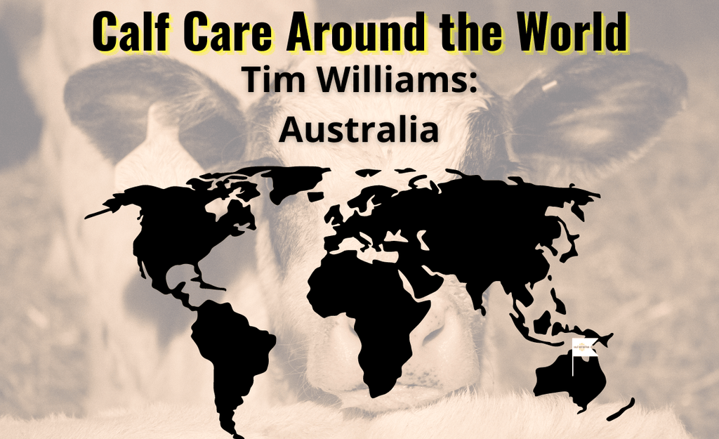 Calf Care Around The World: Tim Williams - Australia