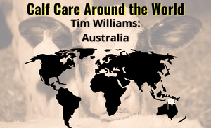Cuidado de terneros en todo el mundo: Tim Williams - Australia