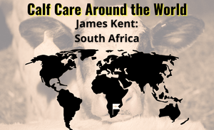 Cuidado de terneros en todo el mundo: James Kent - Sudáfrica