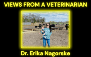 Standpunte van 'n veearts - Onderhoud met dr. Erika Nagorske