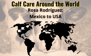 Cuidado de terneros en todo el mundo: Rosa Rodríguez - México a EE. UU.