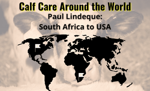 Cuidado de terneros en todo el mundo: Paul Lindeque - Sudáfrica a EE. UU.