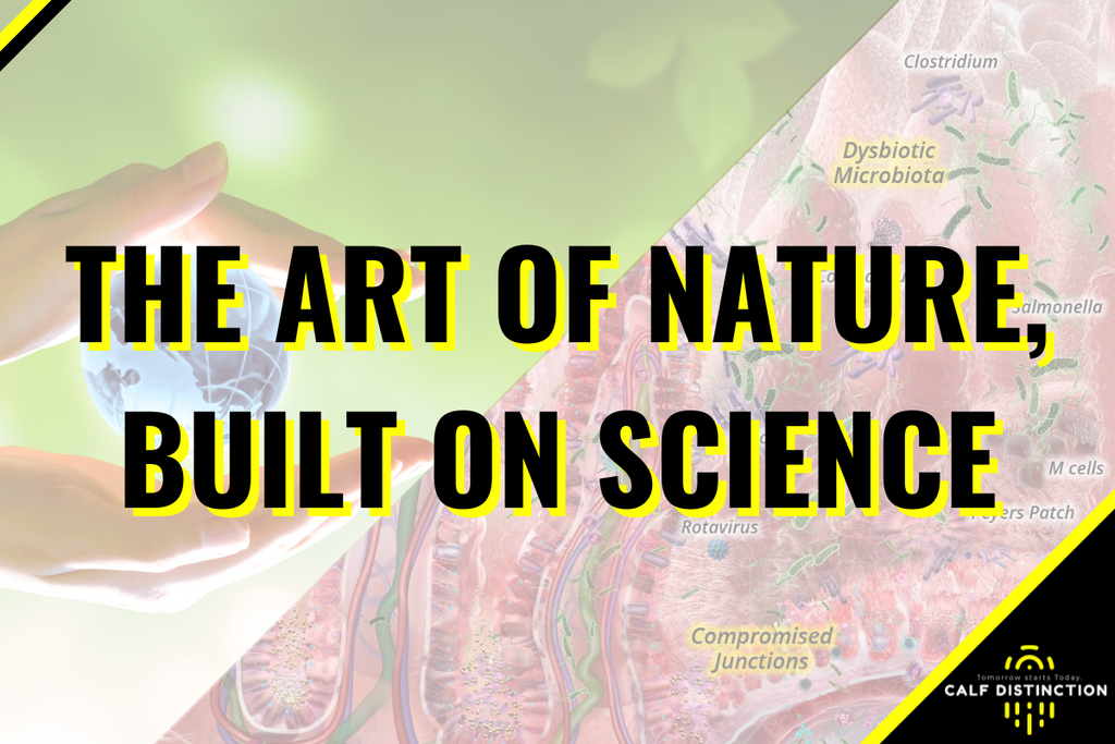 The Art of Nature, Built on Science