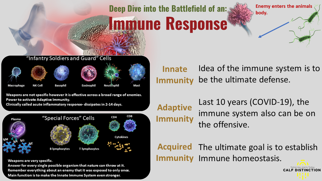 3 Levels of Immune Defense