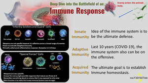 3 vlakke van immuunverdediging
