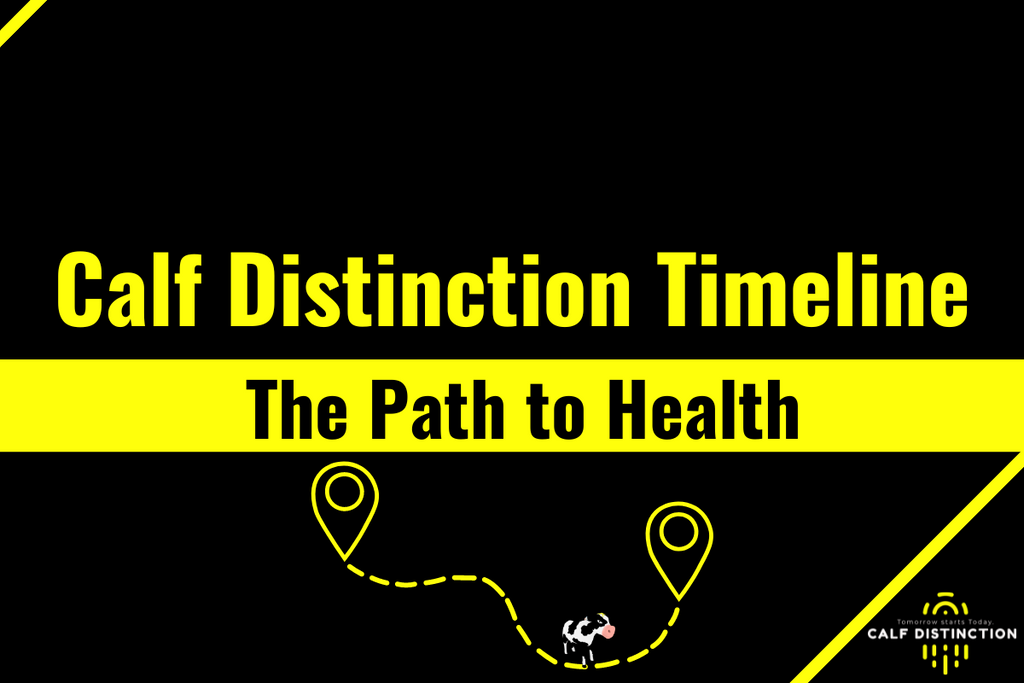Calf Distinction Timeline- The Path to Health