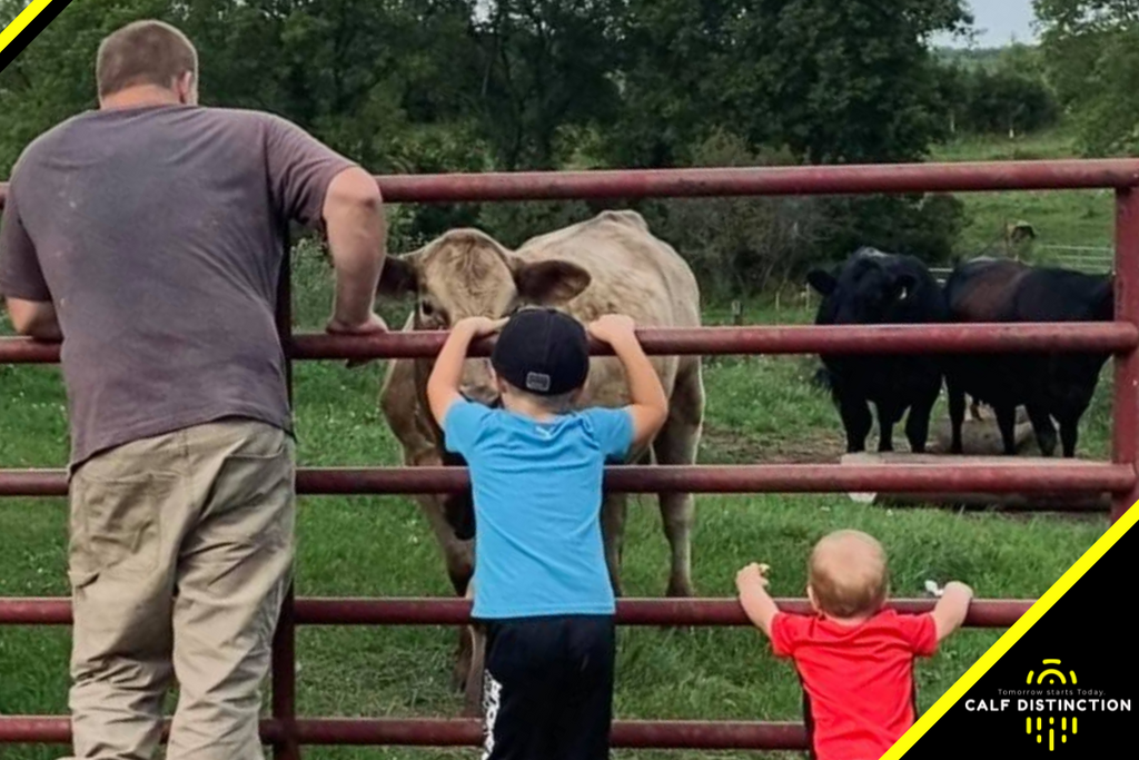 Transition to Auto Feeders - Cory Braund, Windy Ridge Cattle & Grain