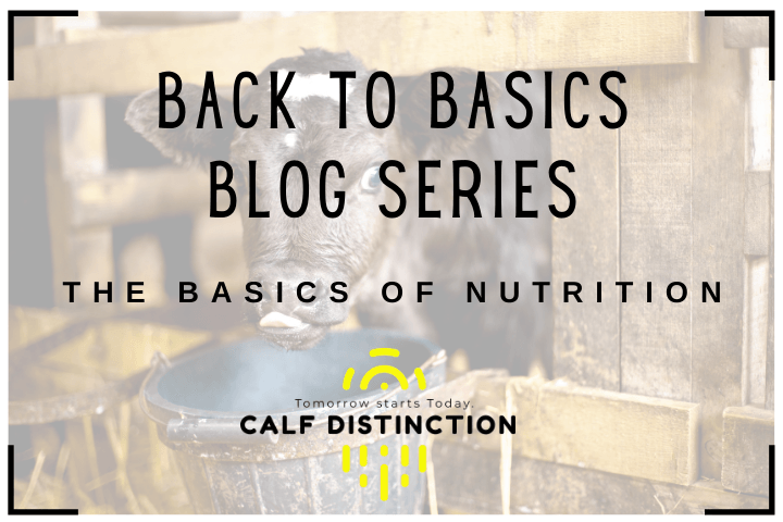 Back to Basics - Nutrition