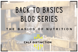 Back to Basics - Nutrition