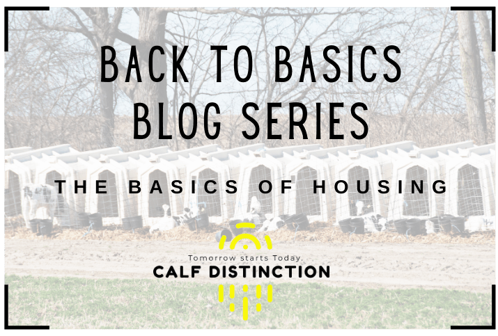 Back to the Basics - Calf Housing