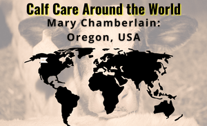 Cuidado de terneros en todo el mundo: Mary Chamberlain - Oregón, EE. UU.