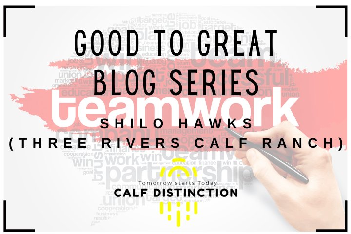 Good to Great - Team Work