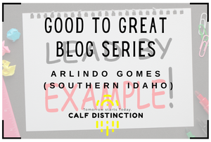 De bueno a excelente - Entrenamiento