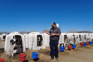 Utilizando tus 5 sentidos en un rancho de becerros